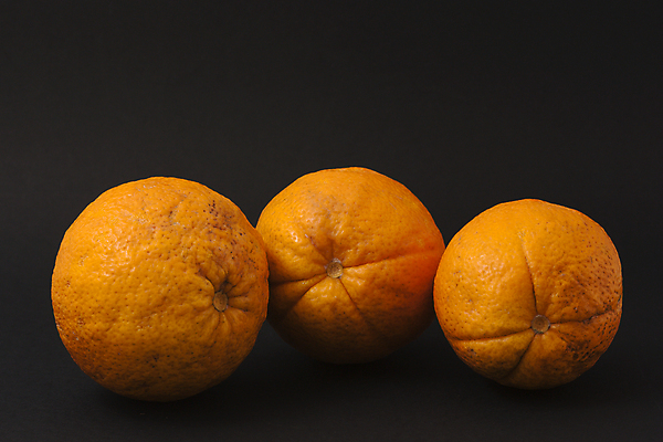 포토 JPG 해외이미지 라이프스타일 음식 조각 백그라운드 다이어트 오렌지 과일 재료 부분 귤 건강 사람없음 노란색 쌓기 껍질 흰색 신선 원형 그룹 달콤 맛 자르기 오브젝트 상쾌 유기농 날것 광택 흙더미 강렬 고립 깨짐 숙성 완벽 채식주의자 비건 해외202004 해외포토 도형 웰빙 감정 컬러 컨셉 모션 생활 흙 채식 파일형식 더미 이미지허브