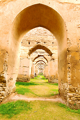 포토 JPG 해외이미지 외관 종교 문화 벽 출입구 실내 사람없음 야외 목재 장식 초록색 궁전 탐험 화려 역사 고독 이슬람교 심볼 아치 모스크 대문 장면 지역 모로코 외양간 해외202004 해외포토 나무 감정 컬러 컨셉 고건축 재료 아프리카 내부 문 파일형식 이미지허브