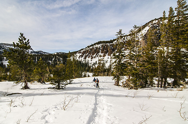 포토 JPG 해외이미지 계절 스포츠 여행 겨울 자연 산 손잡이 풍경 경사 사람없음 야외 냉동 얼음 트래킹 하이킹 추위 흰색 소나무 그림 설피 해외202004 해외포토 자연요소 나무 컬러 레저 생태계 파일형식 이미지허브