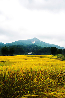 포토 JPG 해외이미지 구름 여행 태국 하늘 밥 산 풍경 사람없음 관광지 고요 내추럴 해외202004 해외포토 자연요소 아시아 음식 파일형식 이미지허브