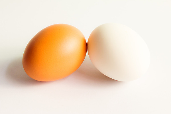 포토 JPG 해외이미지 동물 음식 백그라운드 컨셉 다이어트 재료 자연 조류 부활절 새로움 건강 요리 사람없음 농장 갈색 노란색 계란 치킨 봄 성장 껍질 흰색 신선 그룹 닫기 아침식사 먹기 오브젝트 유기농 날것 칼로리 내추럴 개발 고립 단백질 삶기 생식 암탉 처음 해외202004 해외포토 웰빙 계절 기념일 컬러 농업 모션 알 식사 닭 암컷 생태계 닭고기요리 영양소 파일형식 이미지허브