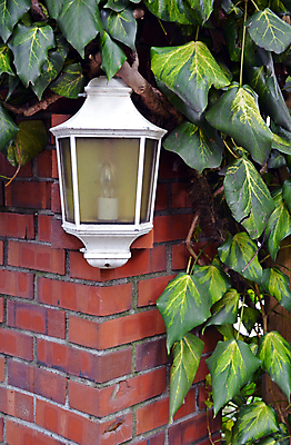 포토 JPG 해외이미지 식물 외관 벽 백그라운드 잎 벽돌 조명 사람없음 장식 빛 정원 등불 램프 아이비 해외202004 해외포토 파일형식 이미지허브