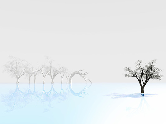 포토 JPG 해외이미지 나무 구름 계절 크리스마스 휴가 풍경 사람없음 초록색 파란색 냉동 얼음 침묵 추위 흰색 나뭇가지 시골 인사 소나무 신용카드 숲 12월 장면 마법 눈보라 1월 2월 반투명 폭설 눈내림 해외202004 해외포토 자연요소 식물 기념일 컬러 눈_날씨 금융 소리 예절 날짜 자연재해 파일형식 이미지허브