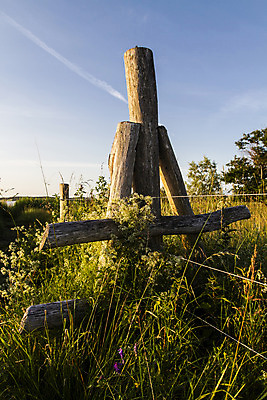 포토 JPG 해외이미지 밭 농업 자연 사람없음 야외 목재 울타리 농촌 철사 해외202004 해외포토 나무 산업 재료 담장 시골 생태계 파일형식 이미지허브