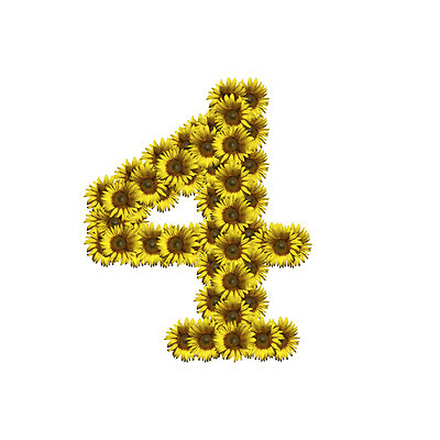 포토 JPG 해외이미지 디자인 꽃 텍스트 해바라기 타이포그라피 사람없음 숫자 4 타입 고립 해외202004 해외포토 식물 문자 파일형식 이미지허브