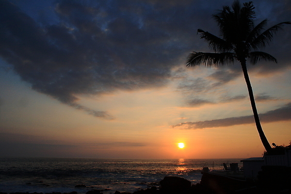 포토 JPG 해외이미지 구름 오렌지 손바닥 사람없음 황혼 새벽 광선 하와이 설정 해외202004 해외포토 자연요소 손 과일 미국 일몰 파일형식 이미지허브