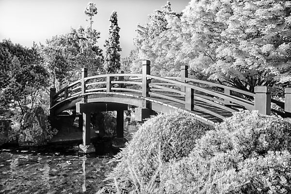 포토 JPG 해외이미지 나무 전통 아시아 호수 선 백그라운드 잎 건축양식 자연 흑백 동양인 풍경 사람없음 야외 목재 물 반사 평화 정원 일본 침묵 고요 봄 바위 연못 숲 명상 아치 원예 조경 내추럴 해외202004 해외포토 자연요소 식물 계절 건축 나라 컨셉 재료 촬영기법 인종 취미 소리 돌_바위 생태계 파일형식 이미지허브