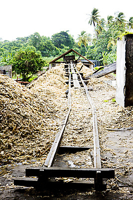 포토 JPG 해외이미지 외관 산업 공장 지팡이 사람없음 야외 미국 중앙아메리카 서인도제도 사탕수수 해외202004 해외포토 식물 북아메리카 공업 아메리카 파일형식 이미지허브