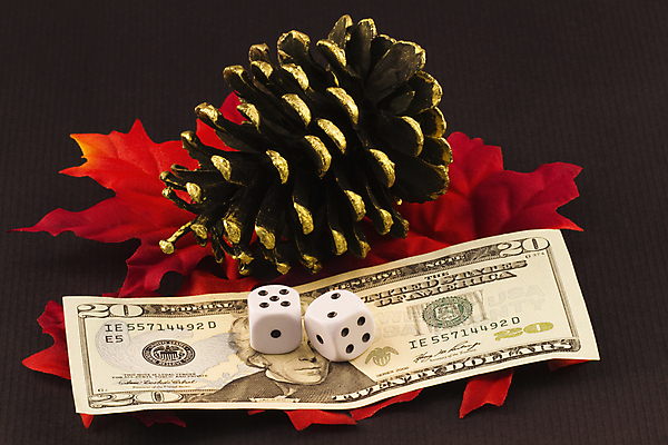 포토 JPG 해외이미지 계절 돈 겨울 사람없음 금융 경제 달러 미국 가을 변화 도박 위험 12월 11월 주사위 투자 솔방울 이익 세금 포트폴리오 해외202004 해외포토 컨셉 북아메리카 비즈니스 날짜 재산 파일형식 이미지허브