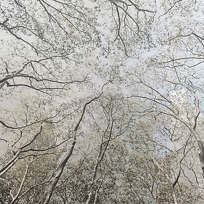 포토 JPG 해외이미지 주간 나무 구름 건축물 디자인 외관 도로 여행 백그라운드 회사 비즈니스 건축양식 유리 하늘 추상 새로움 거리 사람없음 야외 건물 초록색 금융 파란색 사무실 반사 달러 탑 금속 고층빌딩 미국 가을 도시 도심 맨해튼 해외202004 해외포토 자연요소 식물 계절 건축 길 컬러 컨셉 돈 북아메리카 무늬 교통시설 재질 빌딩 경제 뉴욕 파일형식 이미지허브