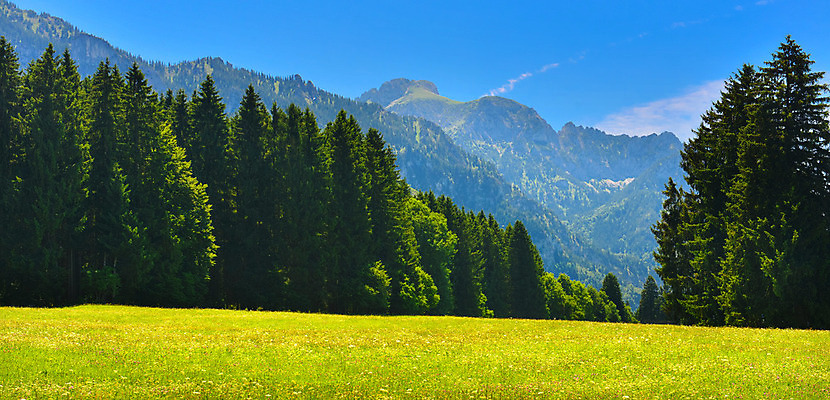포토 JPG 해외이미지 구름 유럽 여행 산 독일 경사 사람없음 여름 햇빛 맑음 숲 큼 산등성이 알프스 산악지대 해외202004 해외포토 자연요소 계절 나라 날씨 태양 크기 파일형식 이미지허브