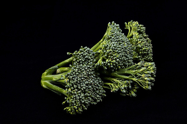 포토 JPG 해외이미지 음식 백그라운드 채소 재료 자연 건강 사람없음 초록색 흰색 신선 닫기 브로콜리 묘사 그림 양배추 성분 내추럴 고립 해외202004 해외포토 컬러 모션 생태계 파일형식 이미지허브