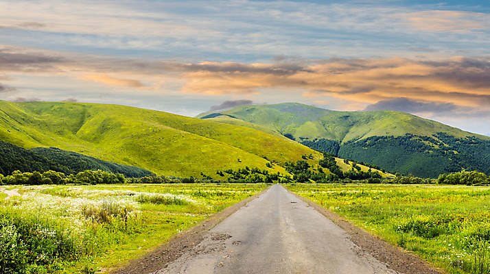 포토 JPG 해외이미지 식물 꽃 도로 길 자연 산 풍경 잔디 사람없음 야외 여름 빛 일출 계곡 새벽 숲 해외202004 해외포토 자연요소 계절 교통시설 노을 생태계 파일형식 이미지허브