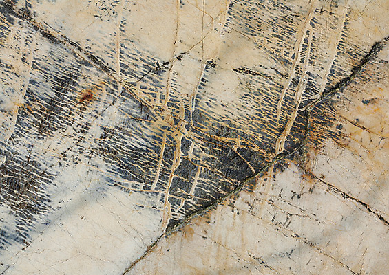 포토 JPG 해외이미지 디자인 선 패턴 자연 표면 추상 사람없음 장식 바위 거친 질감 웨이브 석판 옛날 울퉁불퉁 지질학 해외202004 해외포토 교육 무늬 돌_바위 생태계 파일형식 이미지허브