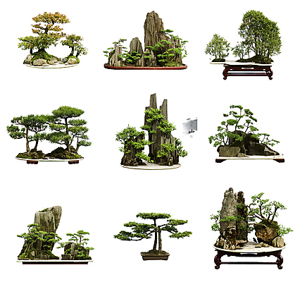 포토 JPG 해외이미지 나무 전통 디자인 백그라운드 잎 패턴 상상 추상 미술 풍경 사람없음 중국 희망 침묵 미니어처 도자기 냄비 분재 단아함 삼나무 엘리먼트 향나무 해외202004 해외포토 식물 감정 아시아 무늬 문화예술 모형 소리 솥 파일형식 이미지허브