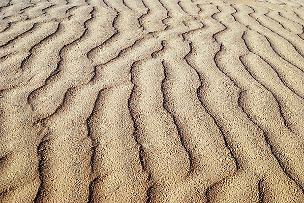 포토 JPG 해외이미지 물결 모래 파도 백그라운드 패턴 곡선 자연 바람 추상 건조 풍경 사람없음 모래사장 갈색 노란색 우주 침묵 줄무늬 사막 뜨거움 땅 모래언덕 부식 질감 장면 결 지역 멀리 내추럴 잔물결 해외202004 해외포토 자연요소 선 바다 컬러 무늬 날씨 소리 언덕 생태계 파일형식 이미지허브