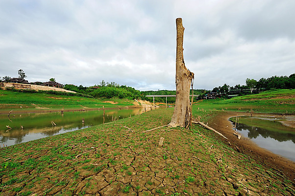 포토 JPG 해외이미지 모양 나무 구름 실루엣 지구 모래 백그라운드 밭 태국 자연 하늘 날씨 건조 풍경 사람없음 초록색 물 여름 글로벌 햇빛 갈색 환경 골짜기 맑음 손상 사막 바위 흰색 신선 뜨거움 황금 큼 지역 가뭄 안심 내추럴 깨짐 땅바닥 파라다이스 해외202004 해외포토 자연요소 식물 계절 아시아 컬러 컨셉 농업 바닥 촬영기법 육류 태양 돌_바위 크기 생태계 파일형식 이미지허브