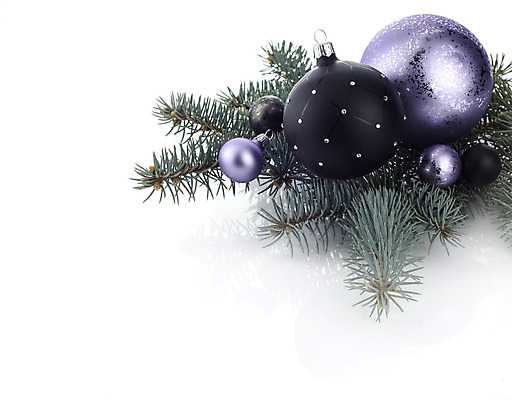 포토 JPG 해외이미지 나무 전통 계절 백그라운드 크리스마스장식 크리스마스 공 휴가 사람없음 장식 빛 축제 흰색 축하 투명 해외202004 해외포토 식물 기념일 컬러 컨셉 파일형식 이미지허브