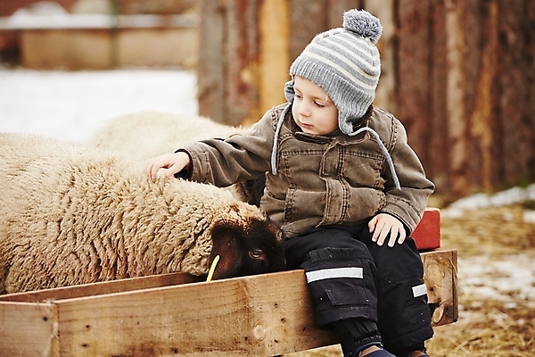 포토 JPG 해외이미지 동물 백인 라이프스타일 옷 행복 어린이 겨울 농업 자연 털 한명 사람 앉기 소년 야외 농장 마을 가축 목장 재킷 만지기 터치 추위 코트 시골 양 달콤 농부 시원함 양동이 서리 비니 내추럴 양모 돌봄 해외202004 해외포토 서양인 직업 모자_잡화 1 계절 남자 감정 산업 포유류 모션 생활 외투 직물 맛 생태계 파일형식 이미지허브