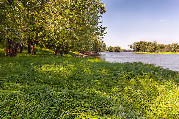 포토 JPG 해외이미지 잎 자연 풍경 사람없음 야외 초록색 물 여름 컬러풀 햇빛 암초 해외202004 해외포토 자연요소 식물 계절 컬러 태양 생태계 파일형식 이미지허브