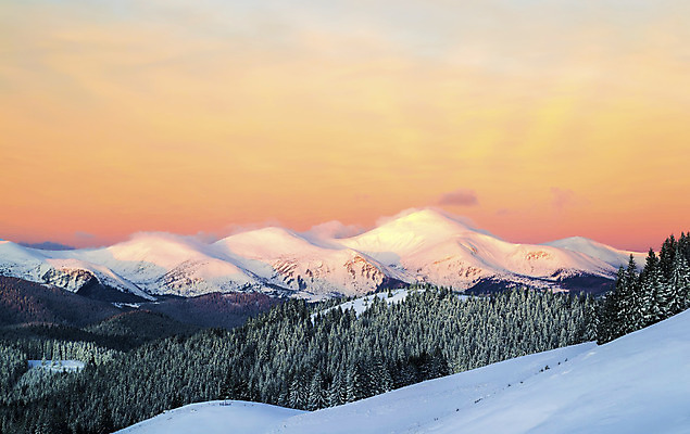 포토 JPG 해외이미지 나무 분홍색 겨울 자연 하늘 아침 산 풍경 경사 사람없음 야외 빛 햇빛 보라색 추위 정상 숲 언덕 산등성이 서리 우크라이나 절정 눈내림 가문비나무 해외202004 해외포토 주간 식물 계절 유럽 컬러 눈_날씨 태양 생태계 파일형식 이미지허브