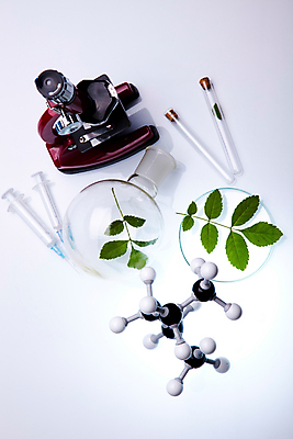 포토 JPG 해외이미지 식물 실내 현미경 실험 사람없음 액체 화학 실험실 플라스크 시험관 흰배경 비커 화학실험 분자구조모형 해외202004 해외포토 과학 백그라운드 실험기구 내부 모형 흰색 분자구조 파일형식 이미지허브