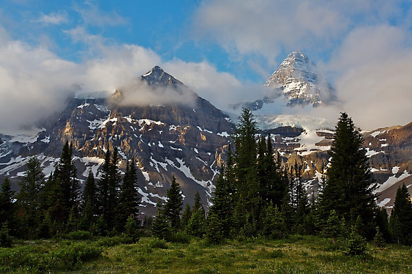 포토 JPG 해외이미지 나무 구름 캐나다 자연 산 풍경 사람없음 얼음 정상 숲 빙하 웅장함 절정 로키산맥 해외202004 해외포토 자연요소 식물 북아메리카 생태계 파일형식 이미지허브