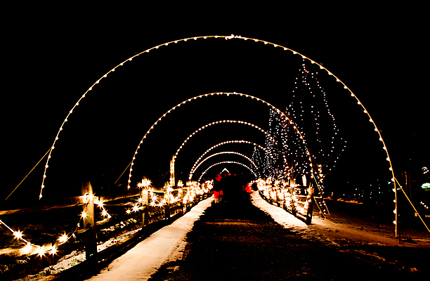 포토 JPG 해외이미지 계절 크리스마스 겨울 전구 가족 눈사람 휴가 전등 동물원 사람없음 야외 장식 컬러풀 축제 야간 12월 아치 애니메이션 클라우스 해외202004 해외포토 자연요소 기념일 컬러 관계 조명 날짜 파일형식 이미지허브