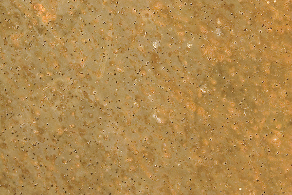 포토 JPG 해외이미지 접시 디자인 산업 벽 백그라운드 패턴 표면 날씨 추상 프레임 사람없음 빨간색 갈색 우주 금속 공백 손상 수확 골동품 나사 시골 얼룩 거친 이름표 철 묘사 사인 부식 질감 정사각형 그런지 엘리먼트 옛날 철강 해외202004 해외포토 도형 식기 컬러 컨셉 무늬 농업 재질 공구 파일형식 이미지허브