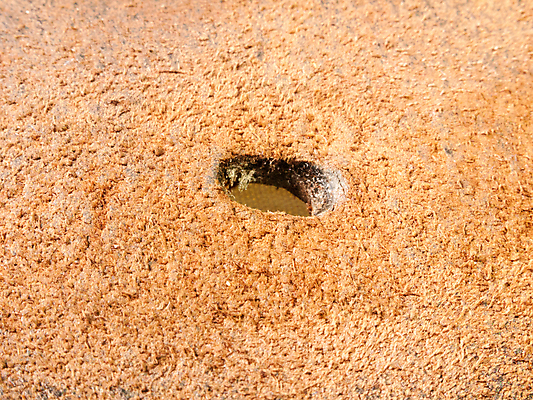 포토 JPG 해외이미지 모양 디자인 배너 드레스 옷 백그라운드 패턴 비즈니스 사람없음 장식 빨간색 빛 컬러풀 갈색 유행 라벨 우주 공백 수확 벨트 고급 가죽 피부 묘사 질감 땀 내추럴 엘리먼트 스타일 현실 디테일 해외202004 해외포토 잡화 컬러 컨셉 무늬 농업 프레임 신체부위 파일형식 이미지허브