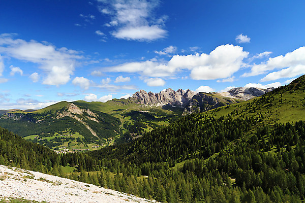 포토 JPG 해외이미지 나무 구름 길 여행 자연 하늘 휴가 휴식 산 풍경 사람없음 야외 목재 초록색 여름 파란색 햇빛 계곡 침묵 이탈리아 하이킹 소나무 숲 알프스 해외202004 해외포토 자연요소 식물 계절 유럽 컬러 컨셉 재료 레저 태양 소리 생태계 파일형식 이미지허브