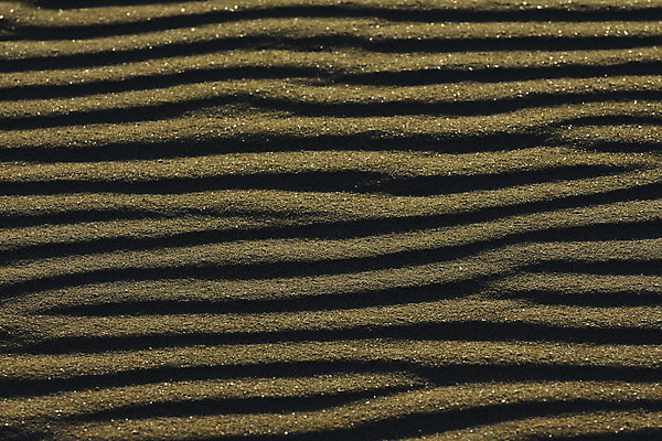 포토 JPG 해외이미지 물결 선 모래 파도 바다 백그라운드 컨셉 패턴 자연 표면 바람 추상 프레임 건조 사람없음 가로 물 모래사장 갈색 사진촬영 사막 흐름 주름 낟알 모래언덕 질감 부드러움 가뭄 내추럴 남아프리카 잔물결 효과 해외202004 해외포토 자연요소 컬러 무늬 아프리카 날씨 촬영 감각 언덕 생태계 파일형식 이미지허브