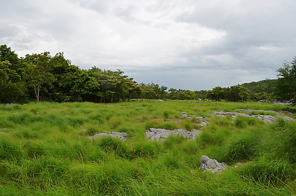 포토 JPG 해외이미지 나무 계절 백그라운드 밭 자연 하늘 풍경 사람없음 초록색 환경 바위 숲 해외202004 해외포토 식물 컬러 농업 돌_바위 생태계 파일형식 이미지허브