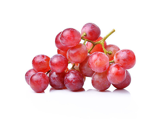 포토 JPG 해외이미지 열매 음식 백그라운드 과일 재료 자연 포도 디저트 건강 사람없음 빨간색 초록색 젖음 수확 흰색 나뭇가지 신선 달콤 다발 유기농 포도나무 내추럴 고립 숙성 해외202004 해외포토 나무 식물 웰빙 컬러 농업 맛 과일나무 생태계 파일형식 이미지허브