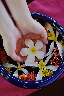 포토 JPG 해외이미지 손 꽃 신체부위 물 수건 스파 손모으기 대야 해외포토 자연요소 식물 사람 손짓 위생용품 파일형식 이미지허브