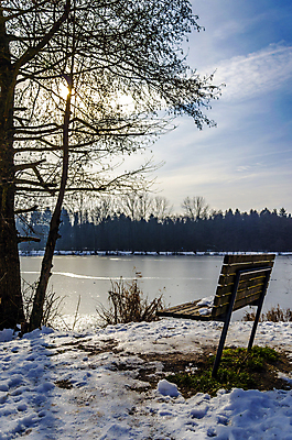 포토 JPG 해외이미지 나무 계절 공원 호수 겨울 벤치 자연 풍경 사람없음 야외 목재 평화 냉동 얼음 침묵 추위 덮개 흰색 숲 서리 내추럴 혼자 눈내림 해외202004 해외포토 자연요소 식물 공공시설 컬러 컨셉 의자 재료 눈_날씨 소리 뚜껑 생태계 파일형식 이미지허브
