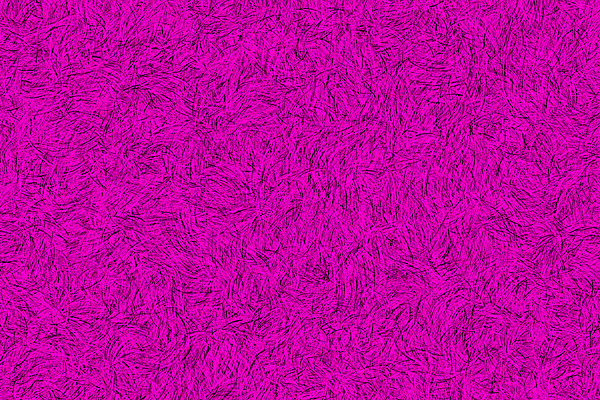 포토 JPG 해외이미지 템플릿 디자인 계절 행복 리본 분홍색 백그라운드 크리스마스장식 크리스마스 겨울 패턴 일러스트 벽지 휴가 새로움 기념 프레임 사람없음 장식 가로 빨간색 초록색 빛 반짝임 파티 우주 축제 화환 활발 흰색 축하 신용카드 황금 은색 12월 연도 고립 해외202004 해외포토 기념일 꽃 감정 컬러 컨셉 무늬 모션 이벤트 금융 날짜 파일형식 이미지허브