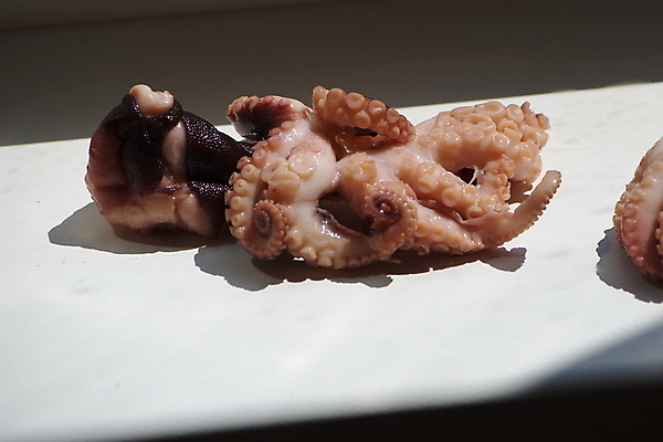 포토 JPG 해외이미지 동물 음식 바다 재료 자연 연체동물 나선형 건강 어류 요리 사람없음 빨간색 식당 보라색 수중 수영 저녁식사 회 신선 인스턴트 먹기 해산물 오징어 날것 문어 촉수 깊이 해외202004 해외포토 컬러 무늬 모션 무척추동물 상점 식사 수중동물 수상스포츠 생태계 파일형식 이미지허브