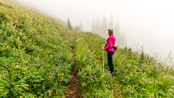 포토 JPG 해외이미지 나무 구름 꽃 캐나다 자국 자연 하늘 산 한명 풍경 경사 옆모습 빨간색 초록색 여름 파란색 컬러풀 맑음 페인트 하이킹 흰색 붓 개화 숲 인도인 언덕 페인트붓 장면 상록수 절정 해외202004 해외포토 자연요소 외국인 식물 1 계절 뷰포인트 컬러 북아메리카 레저 날씨 사람 동양인 생태계 파일형식 이미지허브