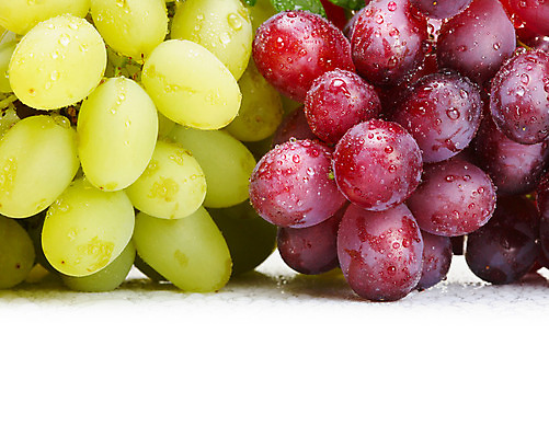 포토 JPG 해외이미지 열매 음식 과일 포도 디저트 사람없음 초록색 장미 흰색 나뭇가지 신선 달콤 다발 고립 숙성 양조장 채식주의자 해외202004 해외포토 나무 식물 꽃 컬러 맛 채식 파일형식 이미지허브