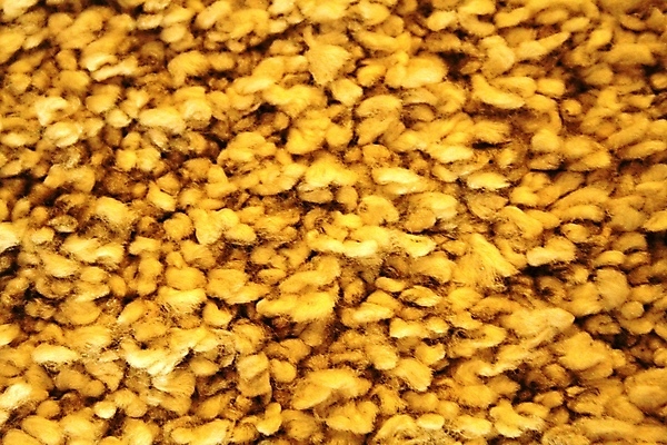 포토 JPG 해외이미지 백그라운드 사람없음 노란색 직물 섬유 해외202004 해외포토 컬러 파일형식 이미지허브