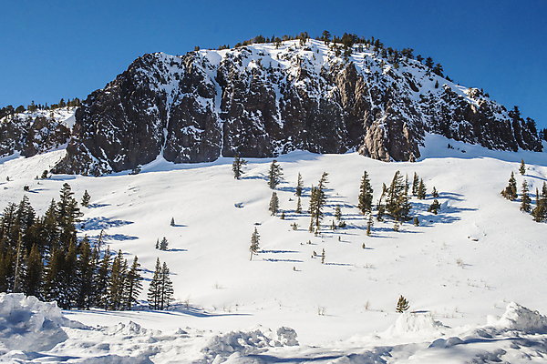포토 JPG 해외이미지 계절 여행 겨울 산 풍경 사람없음 야외 파란색 냉동 추위 흰색 언덕 캘리포니아 멸종위기동물 1월 매머드 절정 해외202004 해외포토 동물 컬러 미국 날짜 파일형식 멸종위기종 이미지허브