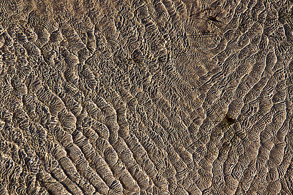 포토 JPG 해외이미지 물결 선 모래 파도 바다 백그라운드 패턴 자연 사람없음 물 빛 햇빛 갈색 노란색 흰색 해조류 질감 내추럴 해외202004 해외포토 자연요소 컬러 무늬 태양 해양식물 생태계 파일형식 이미지허브