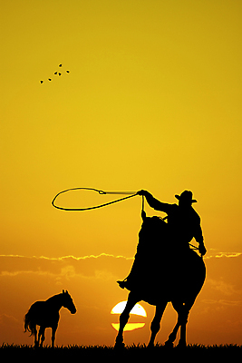 포토 JPG 해외이미지 동물 실루엣 일러스트 포유류 자연 사람없음 야외 햇빛 농장 반사 일몰 시골 승마 카우보이 승차 땅 해외202004 해외포토 스포츠 농업 모션 촬영기법 태양 노을 생태계 파일형식 이미지허브