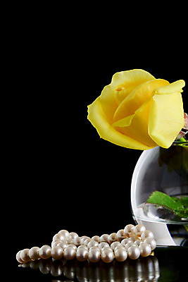 포토 JPG 해외이미지 라이프스타일 기념일 꽃잎 꽃 결혼 백그라운드 크리스마스 목걸이 자연 유리 휴가 선물 사랑 이벤트 사람없음 빛 장미 반사 노란색 유행 검은색 축하 생일 우아함 보석 오브젝트 싱글 고립 해외202004 해외포토 식물 감정 컬러 컨셉 장신구 재질 생활 광석 생태계 파일형식 이미지허브