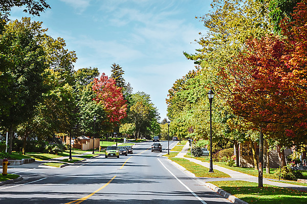 포토 JPG 해외이미지 나무 계절 공원 도로 여행 백그라운드 단풍 잎 캐나다 오렌지 자동차 자연 하늘 풍경 사람없음 야외 초록색 빛 컬러풀 햇빛 태양 노란색 맑음 운전 가을 고속도로 황금 숲 장면 10월 강렬 해외202004 해외포토 자연요소 식물 공공시설 길 육상교통 컬러 북아메리카 과일 교통시설 모션 날씨 날짜 생태계 파일형식 이미지허브
