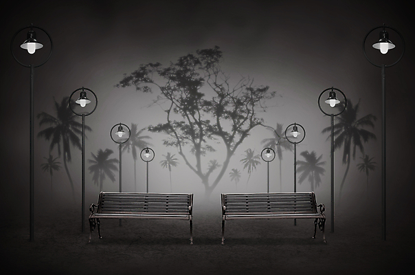 포토 JPG 해외이미지 나무 공원 컨셉 가로등 벤치 거리 그림자 미술 사람없음 야외 빛 어둠 공백 수확 안개 등불 램프 도시 야간 저녁 무서움 장면 코코넛 타운 해외202004 해외포토 자연요소 식물 공공시설 감정 농업 의자 과일 날씨 문화예술 조명 파일형식 이미지허브