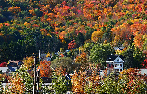 포토 JPG 해외이미지 나무 계절 공원 길 잎 오렌지 자연 풍경 사람없음 야외 파란색 컬러풀 평화 마을 환경 가을 나뭇가지 9월 언덕 타운 10월 해외202004 해외포토 식물 공공시설 컬러 컨셉 과일 도시 날짜 생태계 파일형식 이미지허브