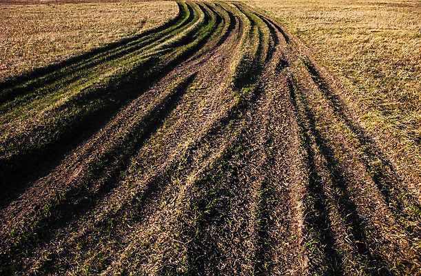 포토 JPG 해외이미지 유럽 도로 길 지구 밭 자연 거리 건조 풍경 잔디 사람없음 야외 초록색 갈색 시골 바퀴 방향 버리기 바퀴자국 먼지 밟기 멀리 시들음 내추럴 방법 선로 수평선 해외202004 해외포토 식물 나라 컬러 농업 교통시설 자국 모션 생태계 파일형식 이미지허브