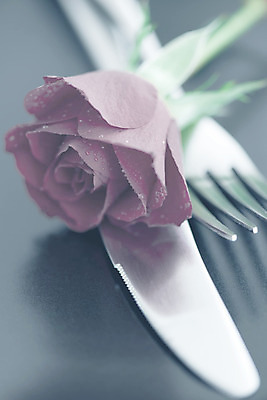 포토 JPG 해외이미지 식기 꽃 음식 포크 컨셉 탁자 휴가 발렌타인데이 사랑 사람없음 장식 빨간색 장미 파티 저녁식사 날짜 칼 은색 배고픔 기회 열정 설정 2월 해외202004 해외포토 식물 감정 컬러 가구 데이이벤트 이벤트 식사 파일형식 이미지허브